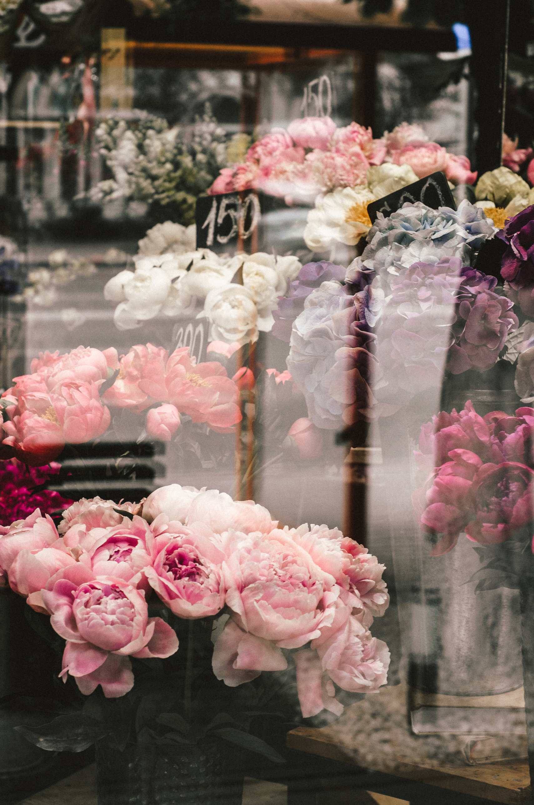 Pink and White Flower Bouquet